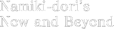 Namiki-dori’s Now and Beyond